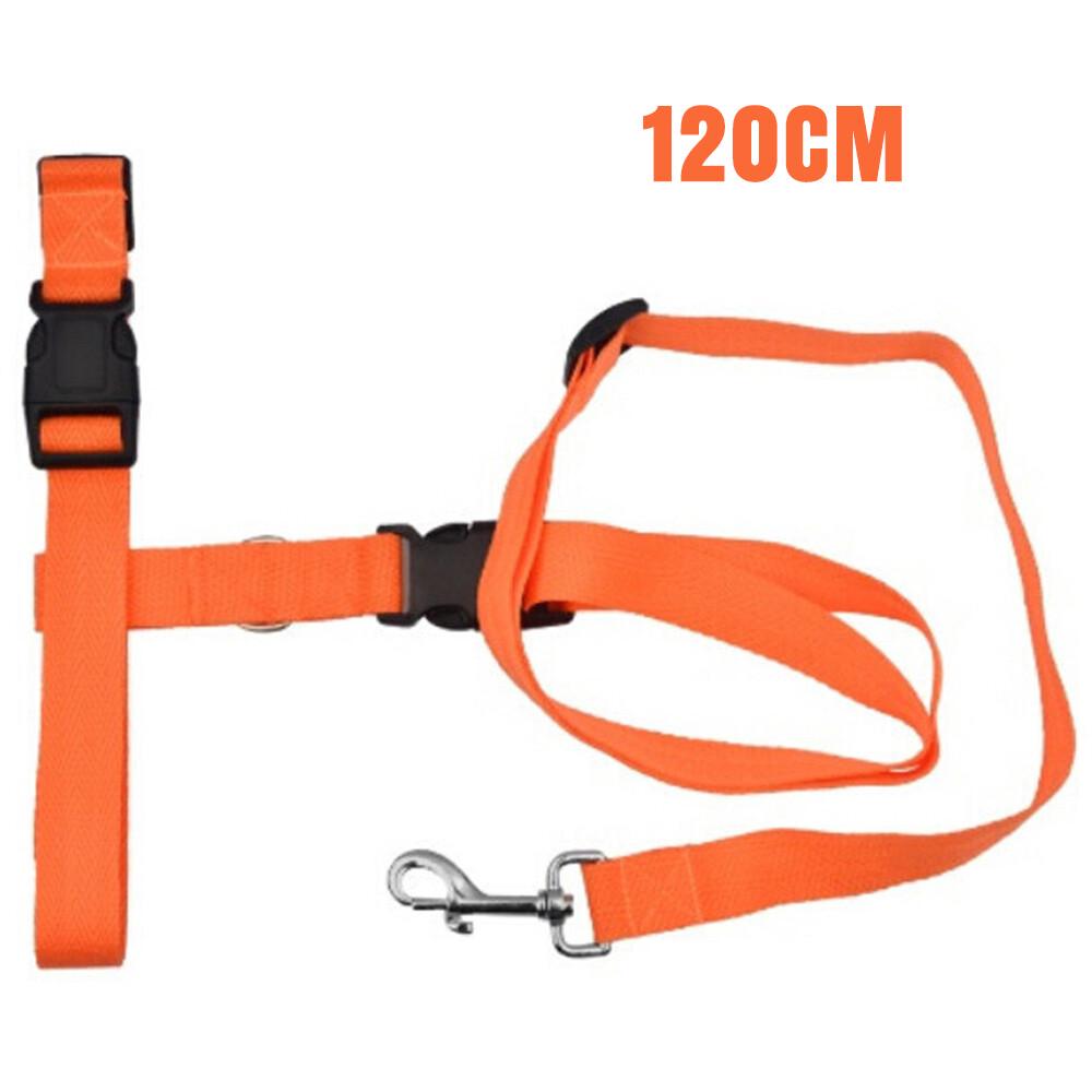 Adjustable Hands Free Leash Dog Lead W/ Waist Belt Jogging Walking Running - Image 3