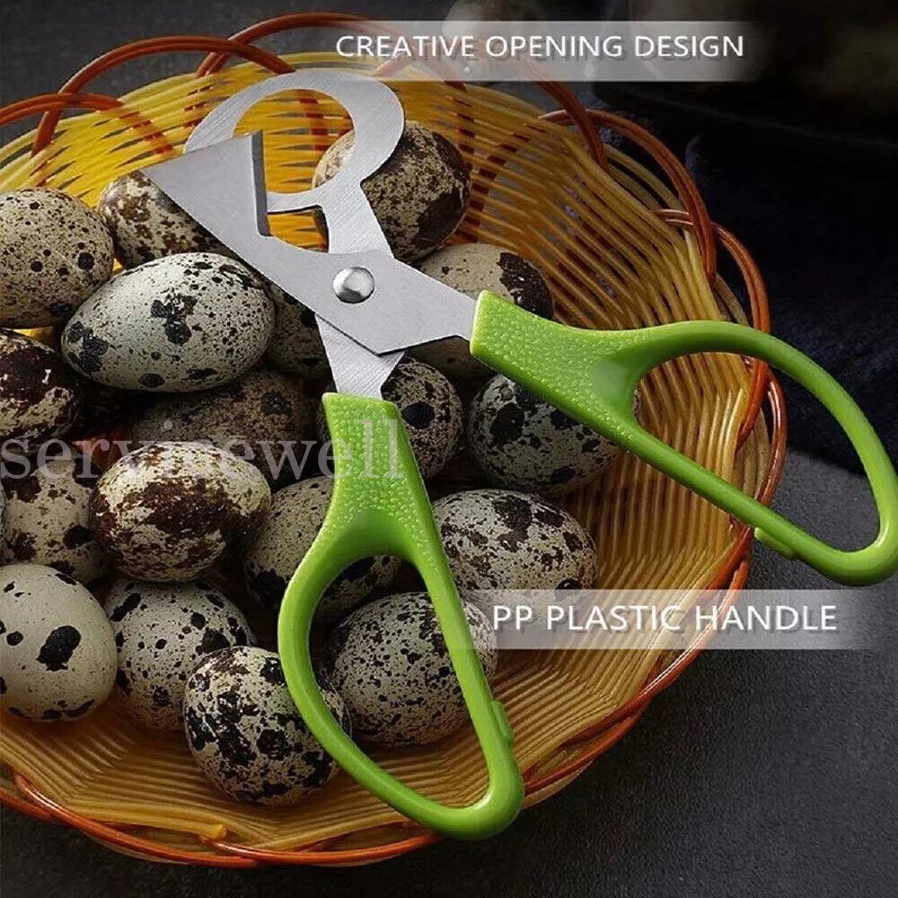 Stainless Steel Pigeon Quail Egg Scissor Birds Eggshell Cut Opener Creative - Image 7