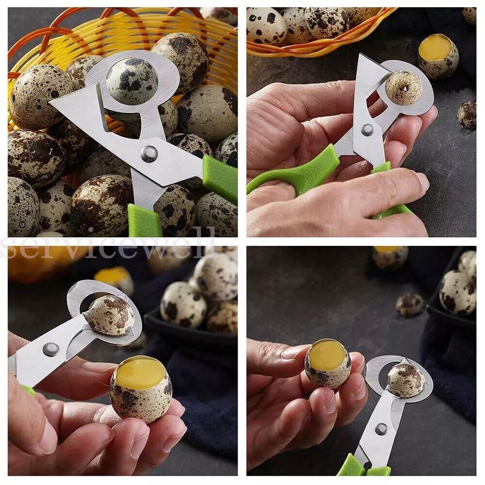 Stainless Steel Pigeon Quail Egg Scissor Birds Eggshell Cut Opener Creative - Image 6