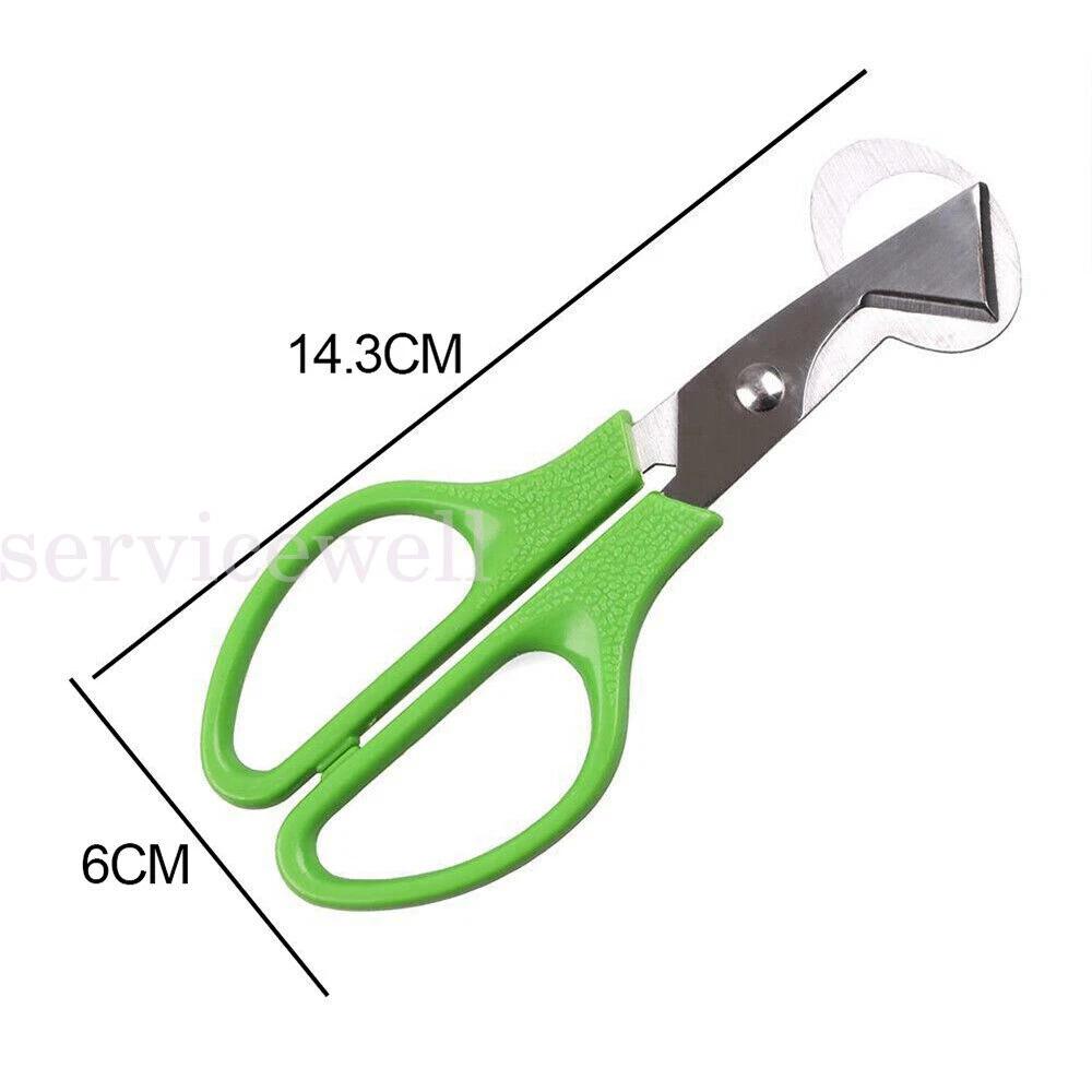 Stainless Steel Pigeon Quail Egg Scissor Birds Eggshell Cut Opener Creative - Image 2