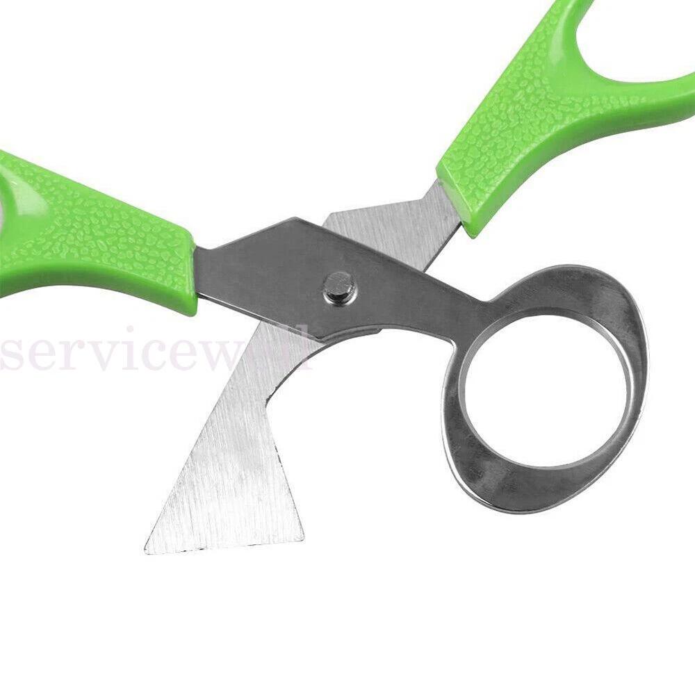 Stainless Steel Pigeon Quail Egg Scissor Birds Eggshell Cut Opener Creative - Image 3