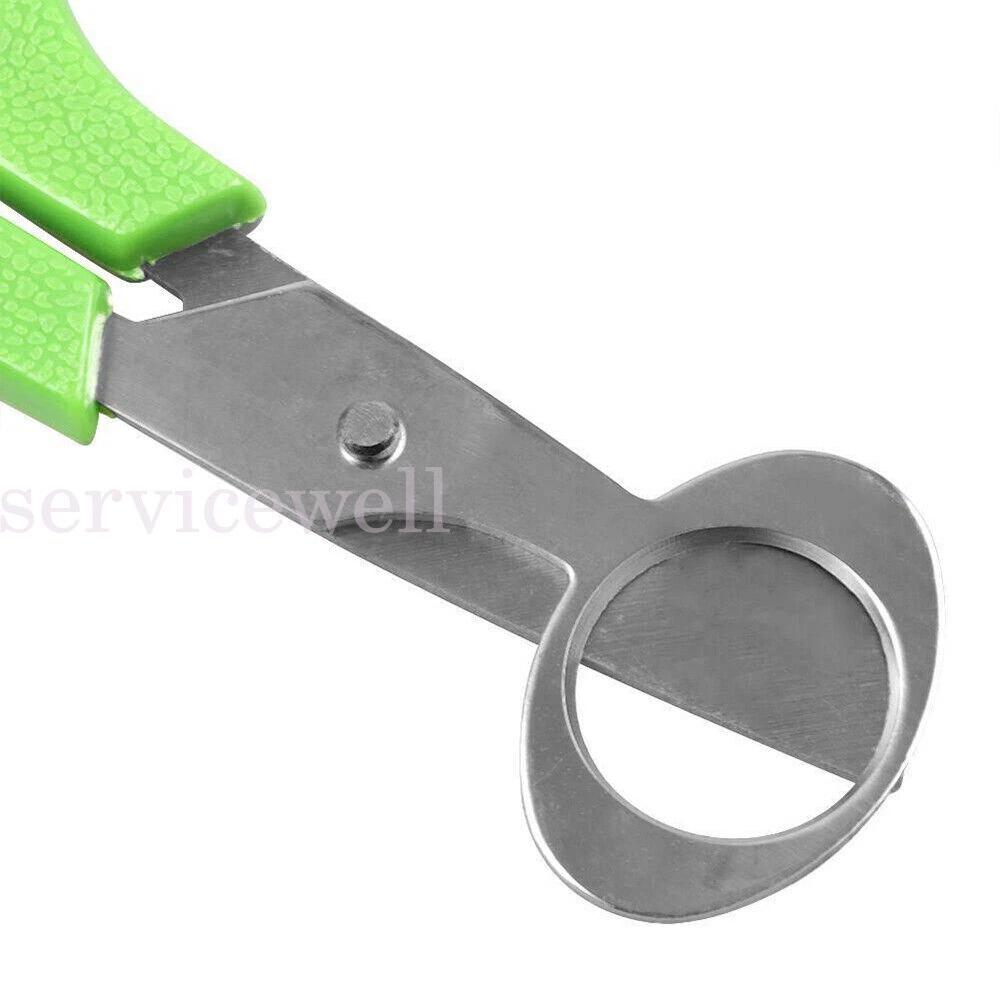 Stainless Steel Pigeon Quail Egg Scissor Birds Eggshell Cut Opener Creative - Image 4
