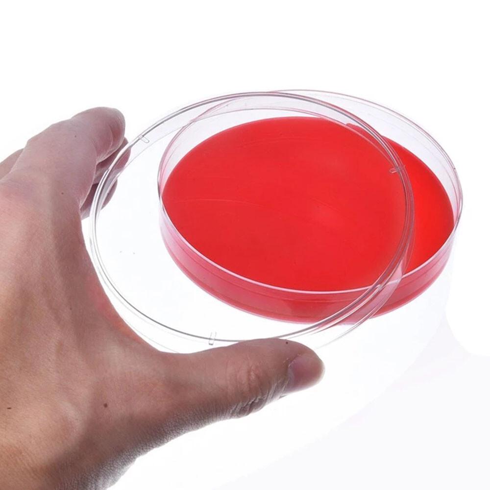 20PCS/pack Plastic Petri Dishes With Lid 90x 15mm Polystyrene New AU - Image 6