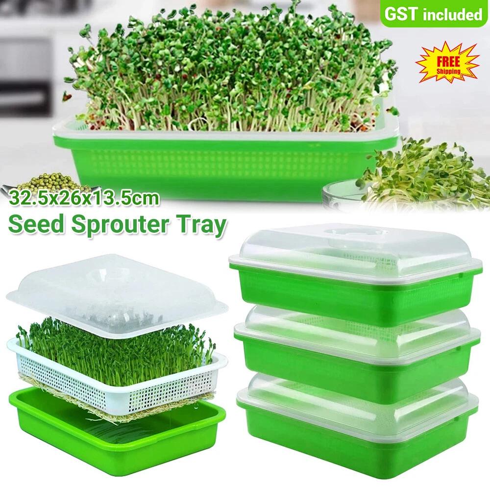 3X Sprouter Seed Tray with Lid BPA Free Bean Sprout Grower Sprouting Seeds Tray