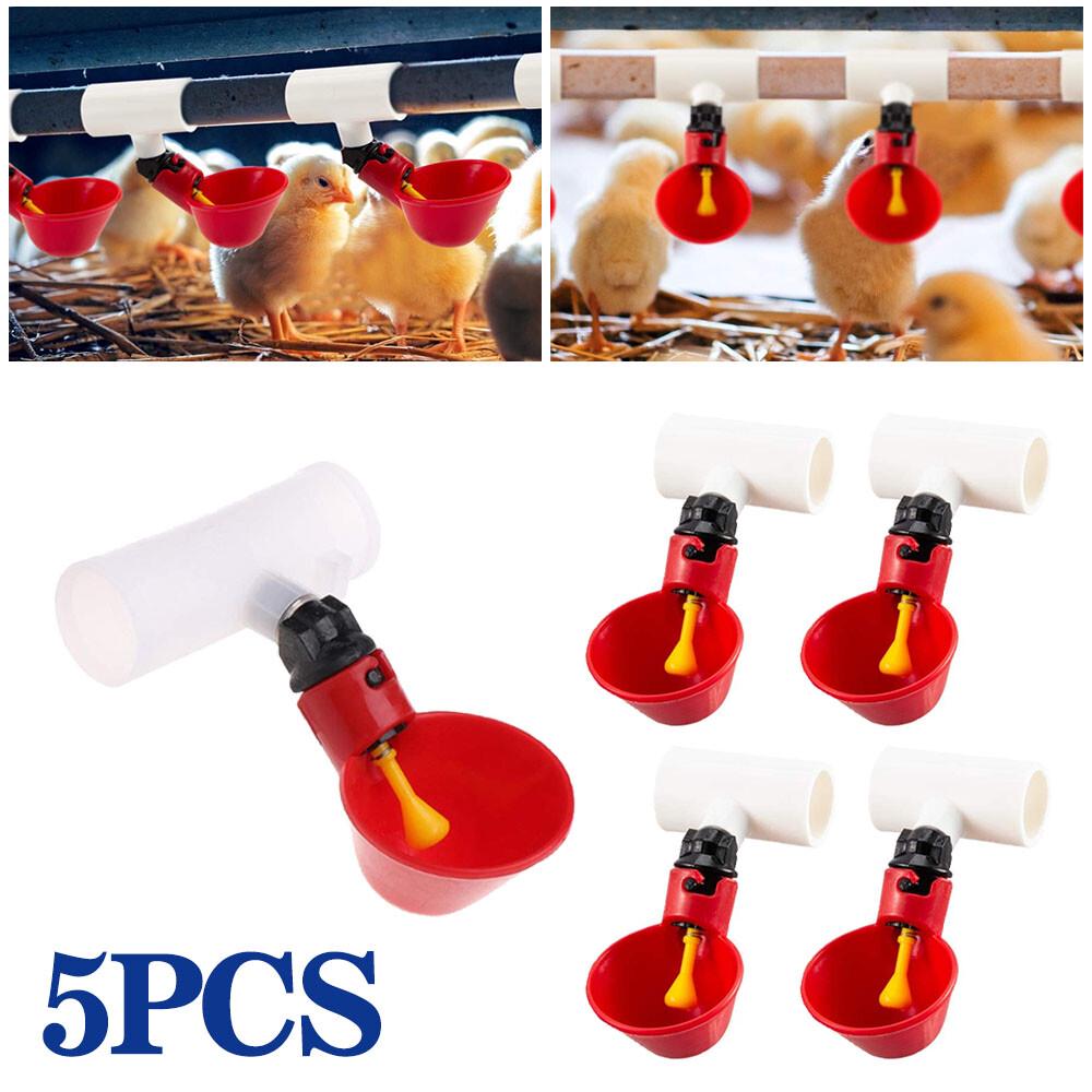 5Pcs Water Drinking Cups Chicken Automatic Poultry Drinkers Hen Bucket Waterer