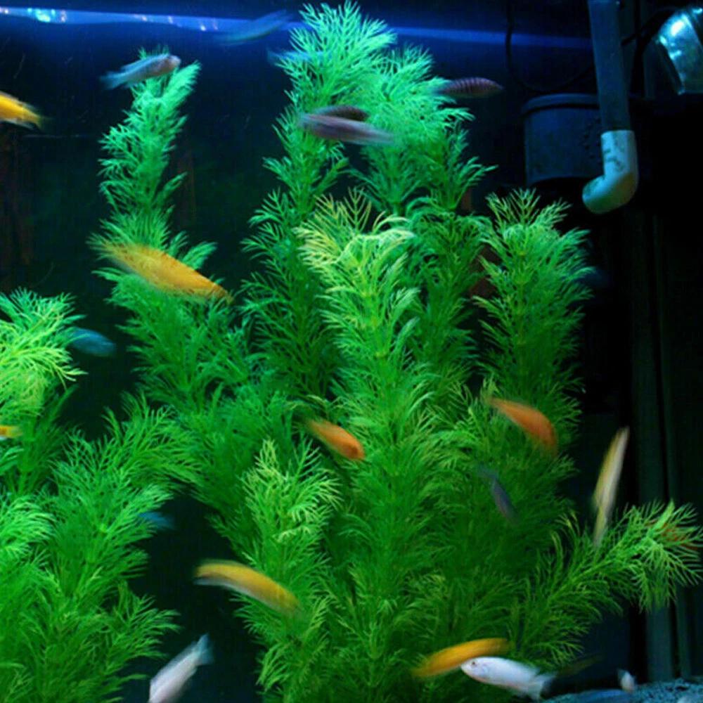 6X Artificial Fake Plastic Water Grass Plants Fish Tank Aquarium Decor Ornament - Image 3