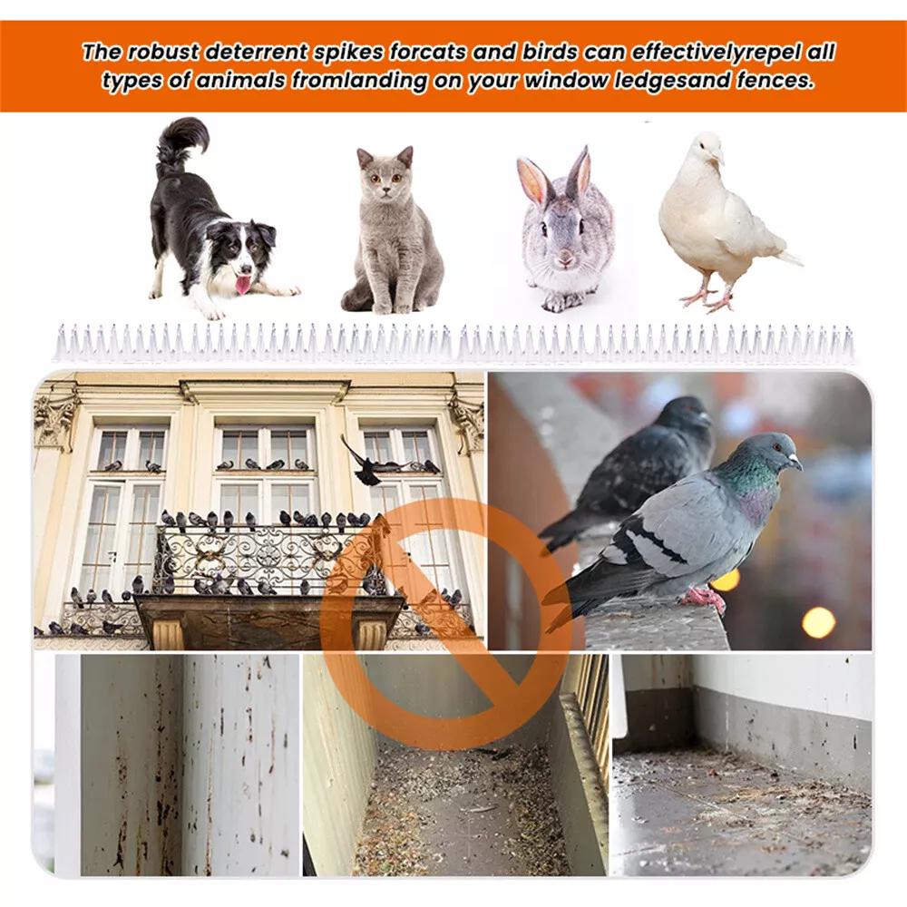 AU Bird Spikes Deterrent Anti Cat Human Possum Spiked Fence Mouse Pest Control - Image 2
