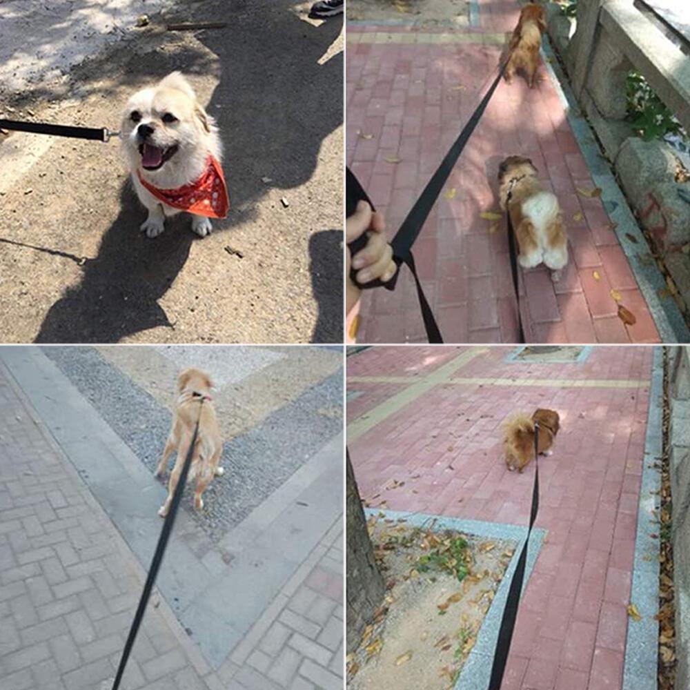 Nylon Dog Training Leash Heavy Duty Pet Products Strong Rope Recall Leashes - Image 5