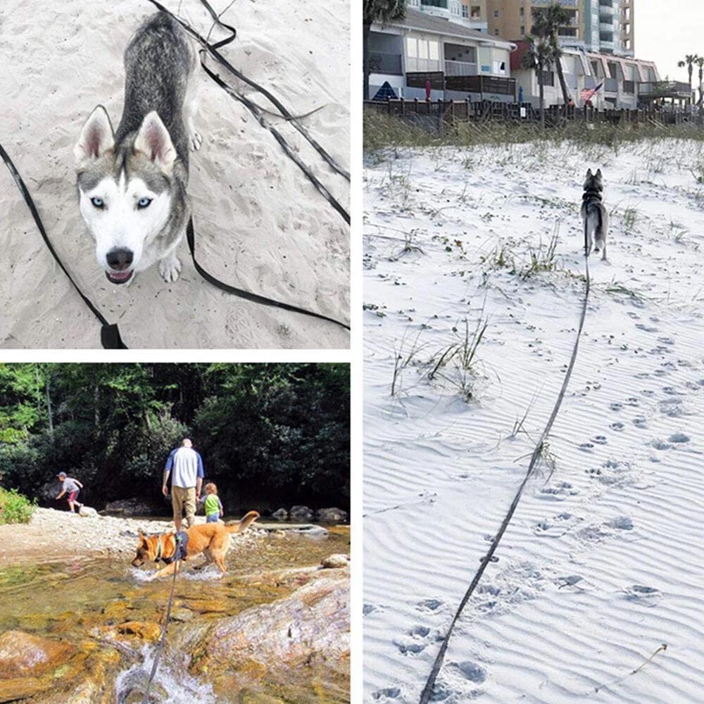 Nylon Dog Training Leash Heavy Duty Pet Product Strong Rope Recall Lead Leashes - Image 2