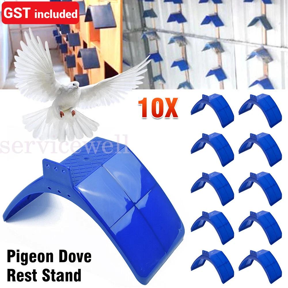Pigeon Dove Rest Stand Frame Grill Dwelling Perches Roost Bird Supplies Set