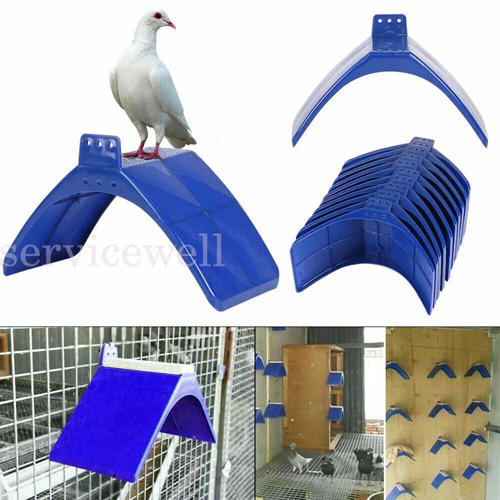 Pigeon Dove Rest Stand Frame Grill Dwelling Perches Roost Bird Supplies Set - Image 7